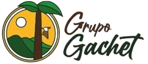 Grupo Gachet